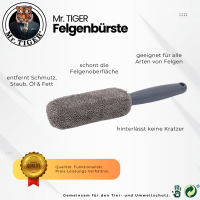 Felgenbürste